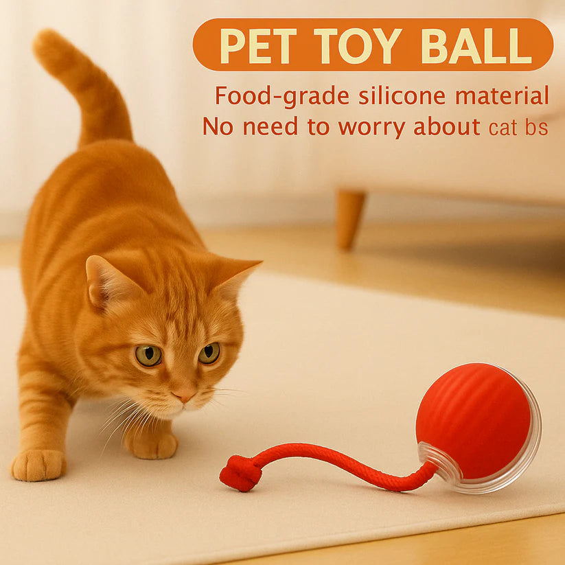 MIMO SPEEDY PET TOY 2.0