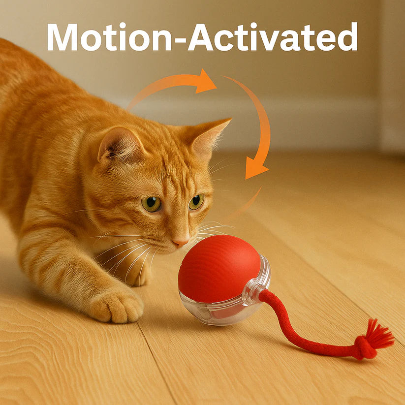 MIMO SPEEDY PET TOY 2.0