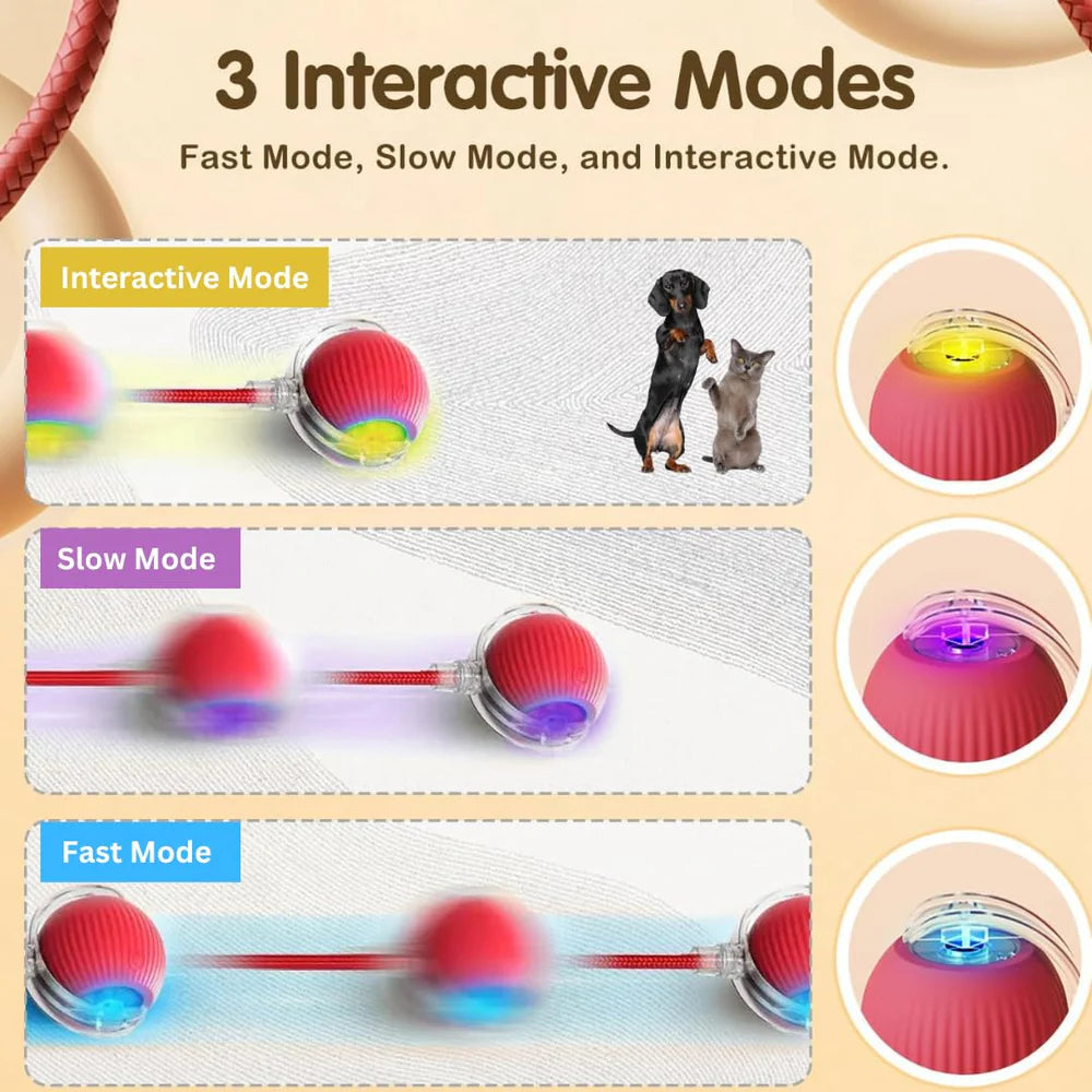 MIMO SPEEDY PET TOY 2.0