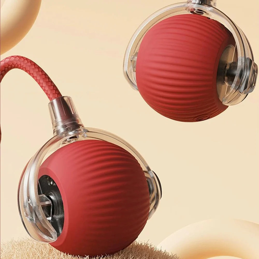 MIMO SPEEDY PET TOY 2.0