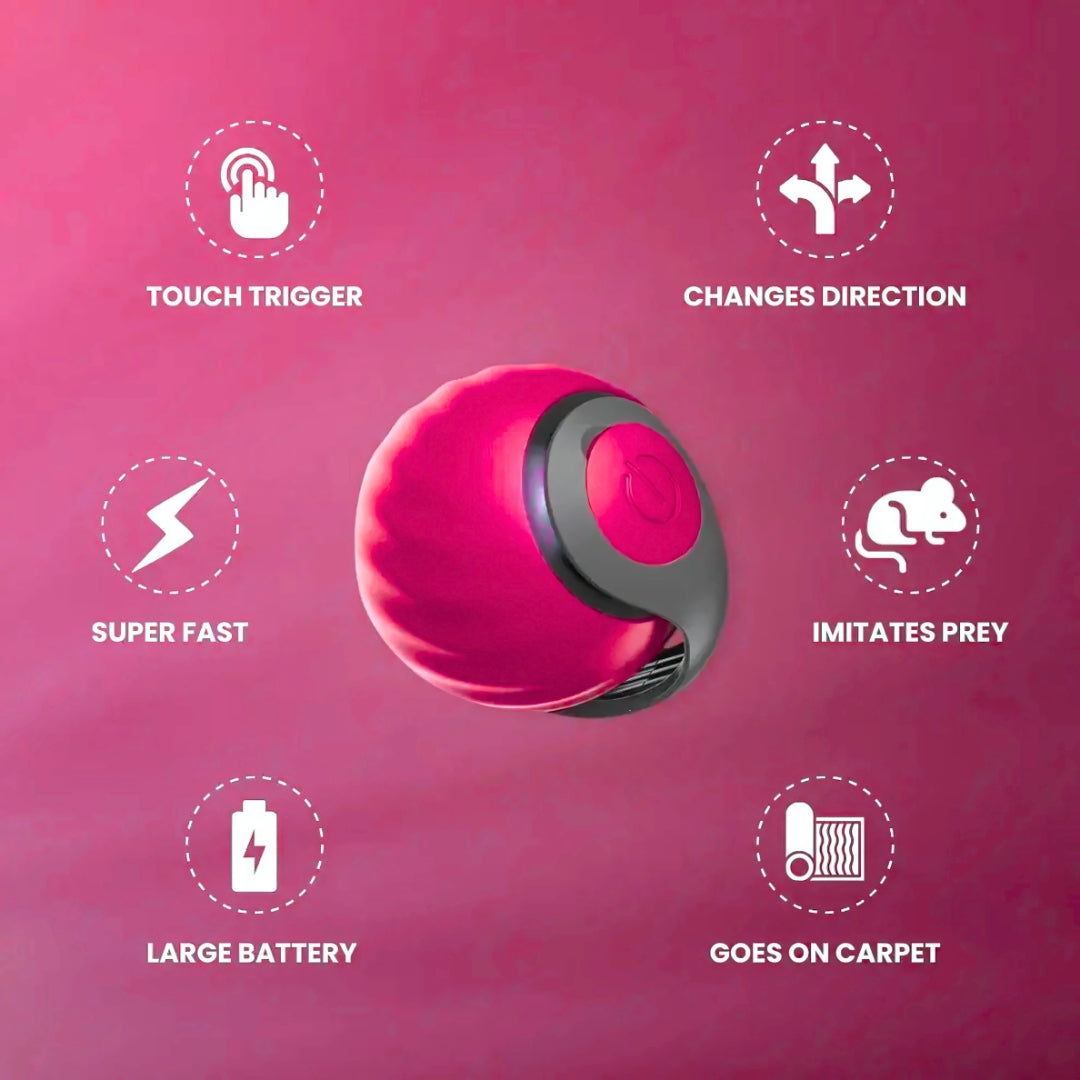 MIMO SPEEDY PET TOY 2.0