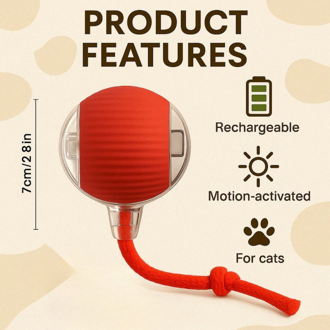 MIMO SPEEDY PET TOY 2.0