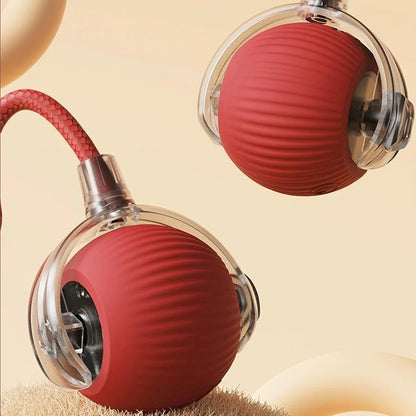 MIMO SPEEDY PET TOY 2.0