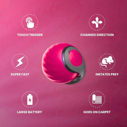 MIMO SPEEDY PET TOY 2.0